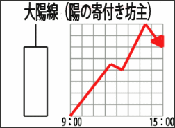陽の寄付き坊主