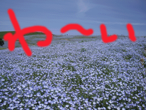 人の行く裏に道あり花の山