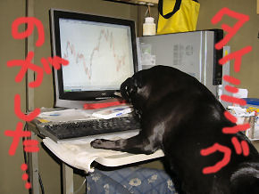 買い二分に売り八分